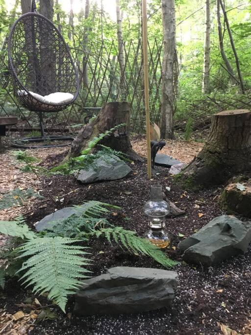 Cosy Woodland Romantic Retreat With Log Fires And Nature Campismo de Luxo *