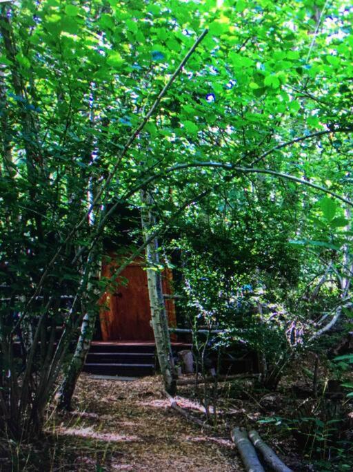 Cosy Woodland Romantic Retreat With Log Fires And Nature *