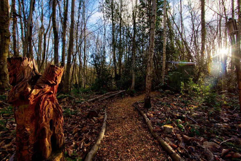 Cosy Woodland Romantic Retreat With Log Fires And Nature Sturry