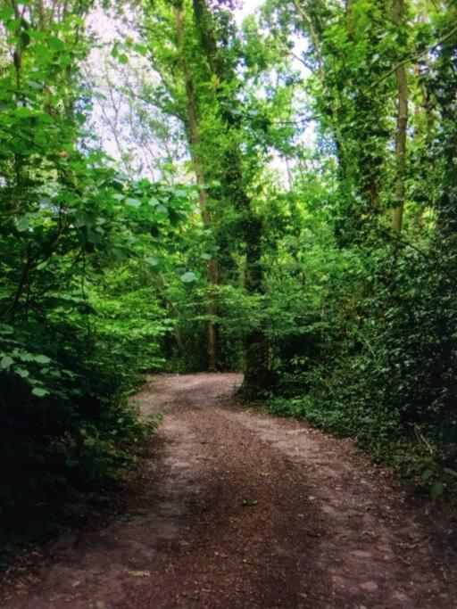 Cosy Woodland Romantic Retreat With Log Fires And Nature Sturry
