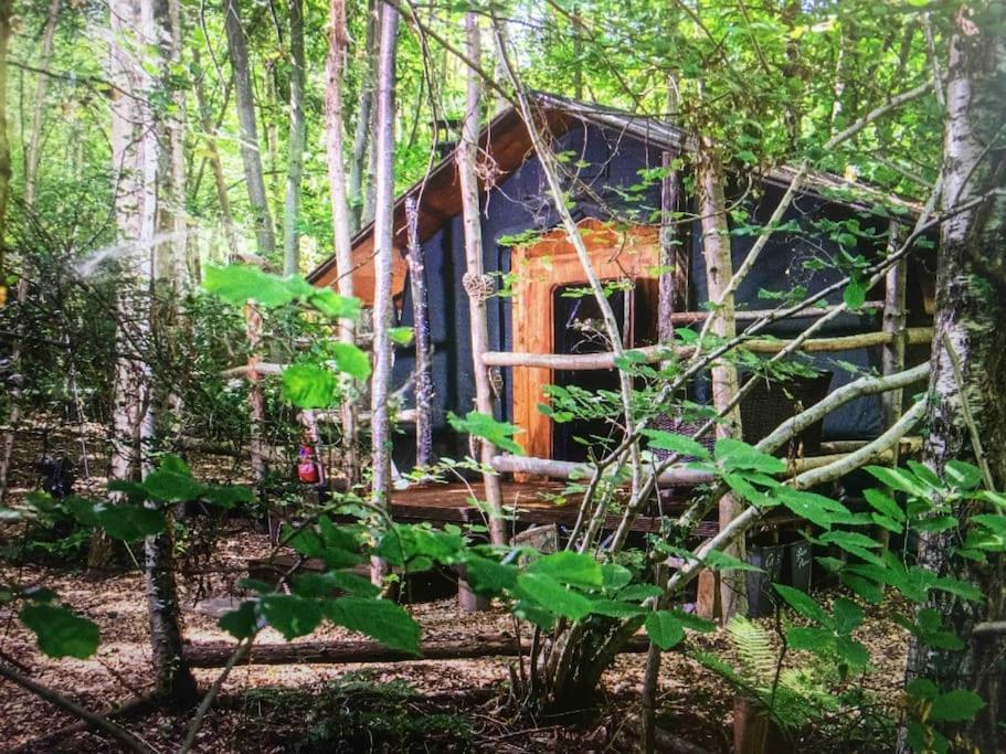 Cosy Woodland Romantic Retreat With Log Fires And Nature Sturry