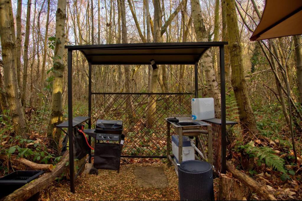 Cosy Woodland Romantic Retreat With Log Fires And Nature Sturry