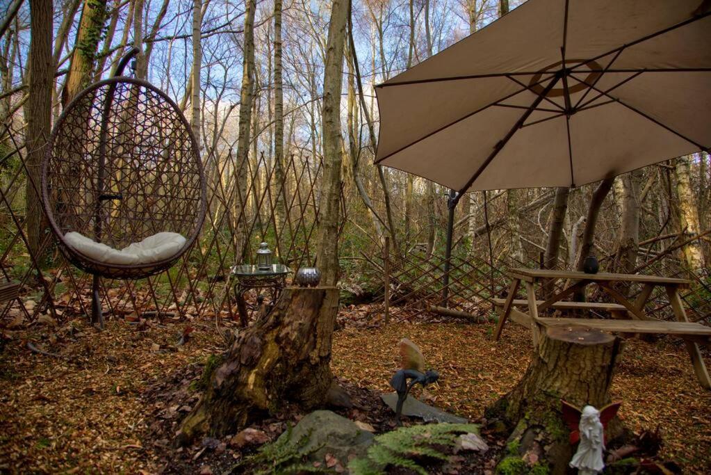 Cosy Woodland Romantic Retreat With Log Fires And Nature *