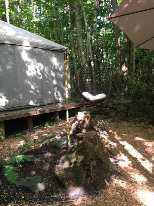 Luxury tent Cosy Woodland Romantic Retreat With Log Fires And Nature