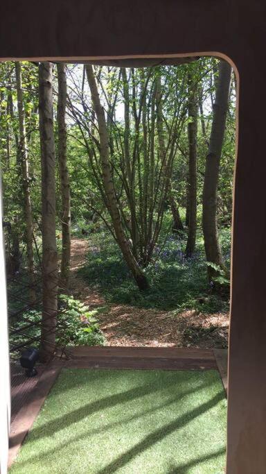 Luxury tent Cosy Woodland Romantic Retreat With Log Fires And Nature *