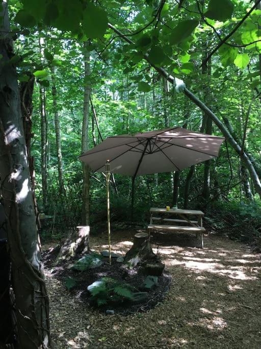 Cosy Woodland Romantic Retreat With Log Fires And Nature Luxury tent