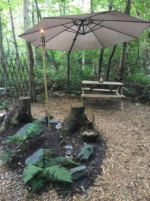 Cosy Woodland Romantic Retreat With Log Fires And Nature Luxury tent *