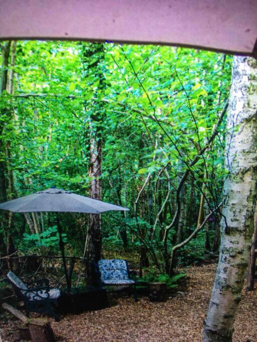 Luxury tent Cosy Woodland Romantic Retreat With Log Fires And Nature